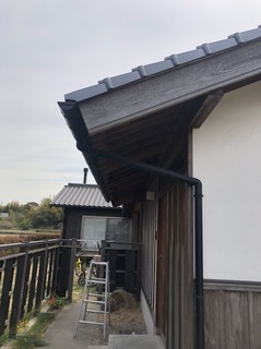 S__27148291.jpg