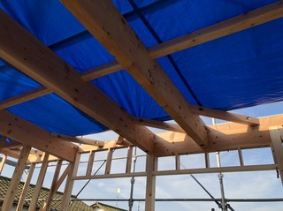 S__51134468.jpg