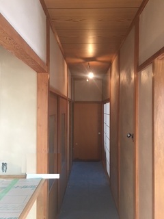 image1.jpeg